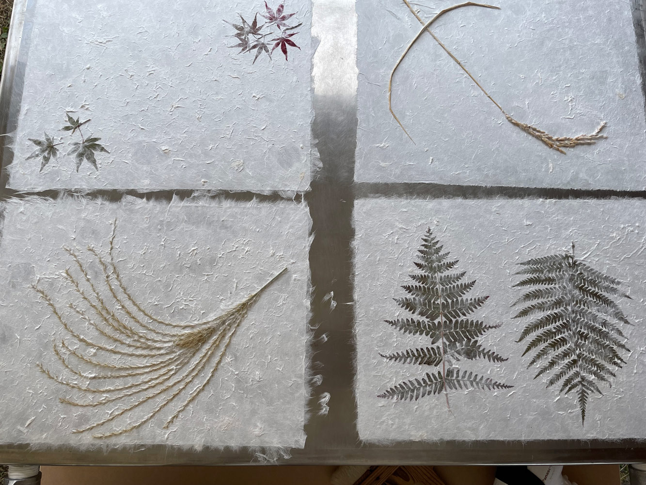 イベントのお知らせ